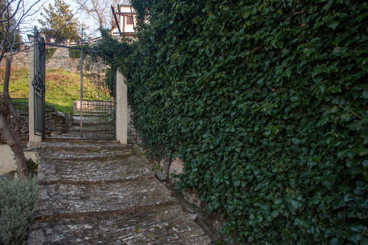 Villa Evridiki By Pelion Esties Agios Georgios Nilias Zewnętrze zdjęcie