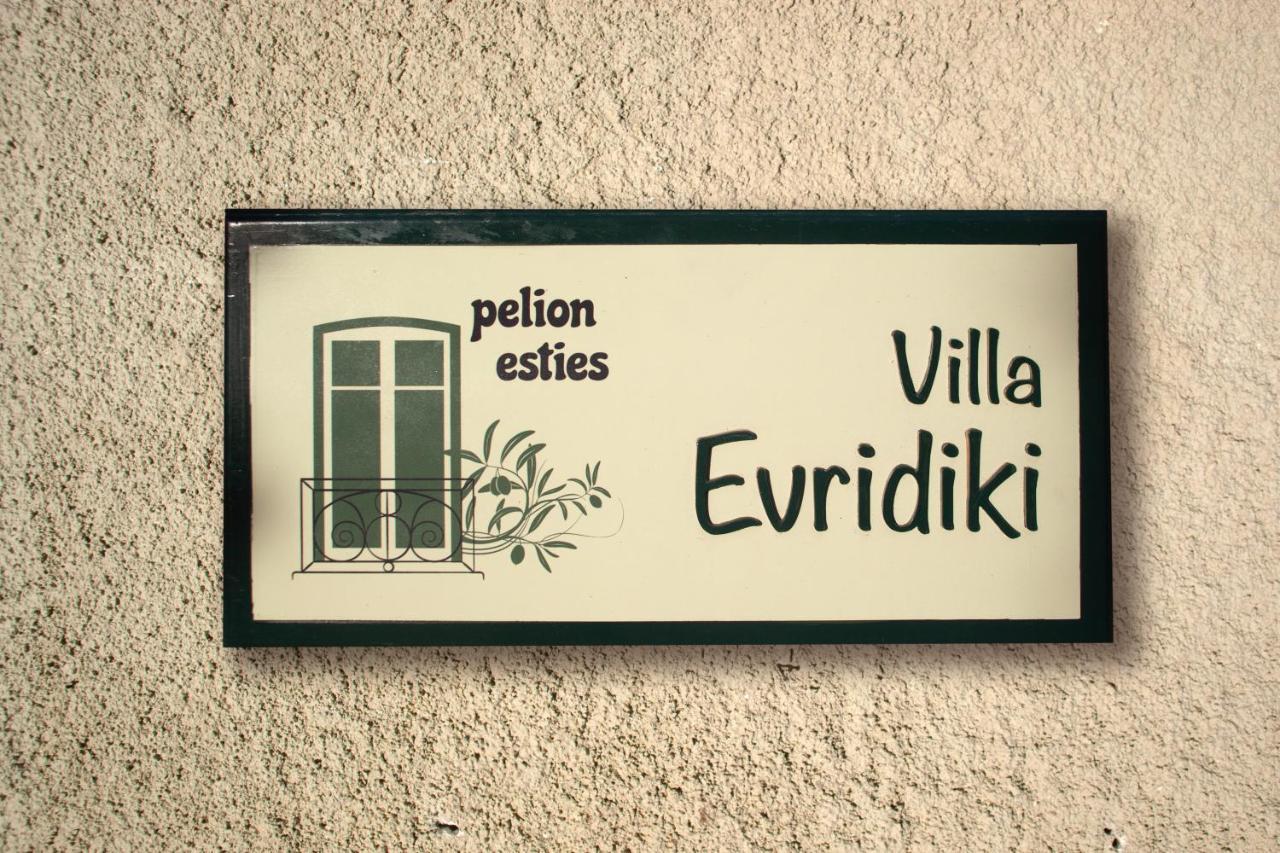 Villa Evridiki By Pelion Esties Agios Georgios Nilias Zewnętrze zdjęcie